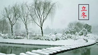 冬来雪飞舞 奉节局地今日换 银装 