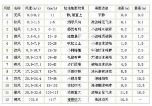 跟毕业论文有关的依据