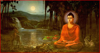 释迦牟尼怎么读 如果释迦牟尼生活在当今,他能够证悟成佛吗