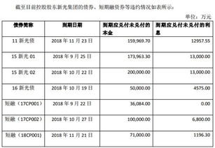 浙江女首富陷危机 新光圆成债务危机正式爆发的时间是什么