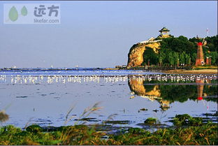 北戴河鸽子窝公园好玩吗(北戴河鸽子窝停车场免费吗)