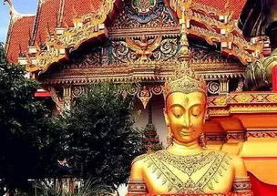 寺庙旅游时,为啥大多数都禁止游客冲着佛像拍照 老和尚说出奥秘