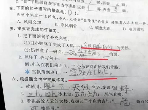 在中我住喜欢造句  住的组词造句一年级？