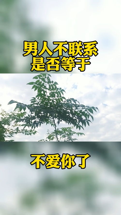 感情不好了怎么修复情绪