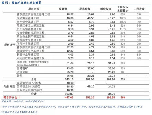 有色的龙头企业 紫金矿业,分析其价值投资的好与坏