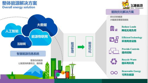 路演是什么意思？能详细点吗