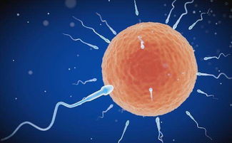 原创受精卵“着床”要几天？身体的这3种变化，或许是备孕成功的表现