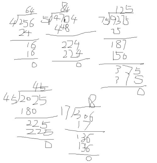 数学除法的竖式计算 帮忙下 256 4 4704 56 9375 75 2025 45 306 17 