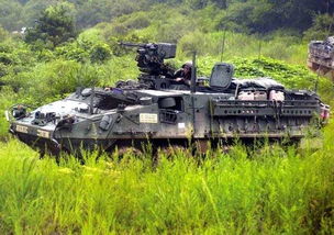 外媒 中国推出新105毫米突击炮 可摧毁多数坦克 