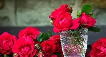情人节送什么颜色的玫瑰花,情人节送哪种颜色的玫瑰花？让爱情瞬间绽放！