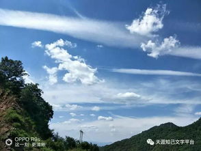 天涯知己文字平台 周岁庆典 雨落秋桐诗歌 