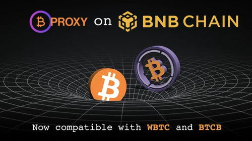 btc和wbtc,比特币(BTC)和Wrapped Bicoi (WBTC):加密货币领域的两大巨头