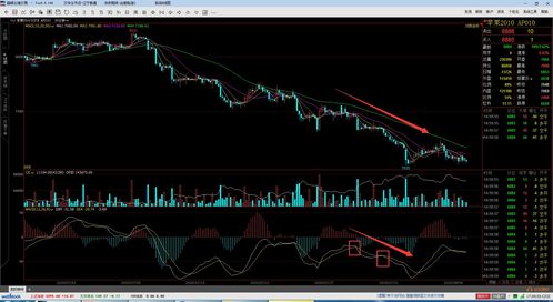 期货中怎么利用MACD来判断行情
