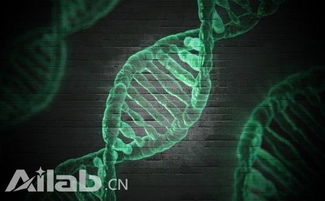 有了DNA存储技术,我们人体就是 云硬盘