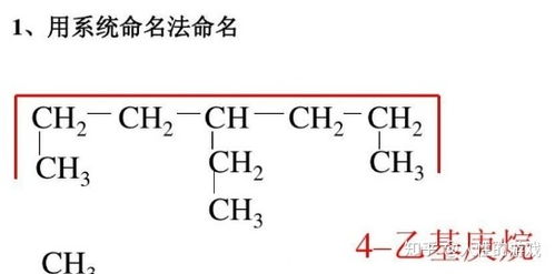 新型冠状病毒77 系统命名法和普通命名法,致病性 