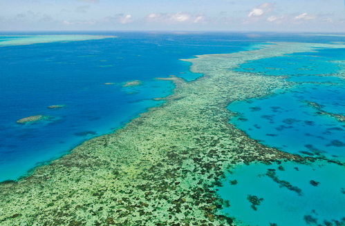 great coral reef,Geographical and Environmental Characteristics