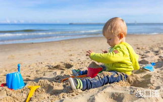 beach是什么意思 头一回知道它还能作动词