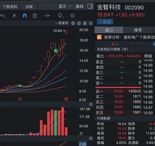 300101振芯科技股票股吧