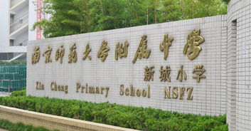 南师附中新城小学：塑造未来领袖的摇篮