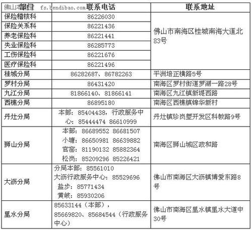  富邦保险电子保单查询系统,富邦保险电子保单查询系统——便捷您的保险服务体验 天富官网