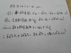 小聪量了自己喝的矿泉水瓶瓶底的直径为2a cm,瓶中水的高度为6bcm 如图所示,他把矿泉水瓶颠倒 