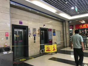 广东国内电梯上市公司有哪些