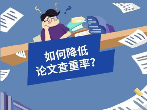 长安大学查重官网入口-用户友好的查重体验