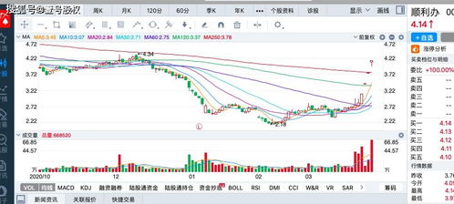  富邦股份股票涨幅多少倍,增长潜力几何？ 天富登录