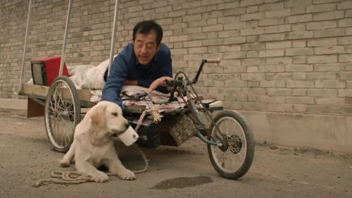 这是一部关于老汉和狗的电影 老汉和狗相处的像家人一样 