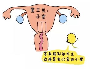 子宫前位受孕技巧 为什么没怀孕是子宫前位，怀孕了变成子宫后位了，是什么原因呢？ 