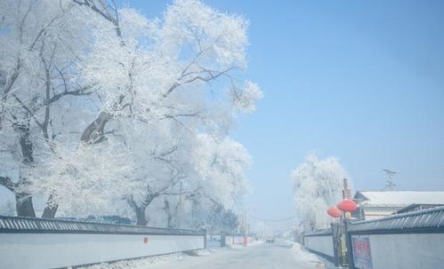 去什么新疆和西藏,这里才是中国最美的冬天