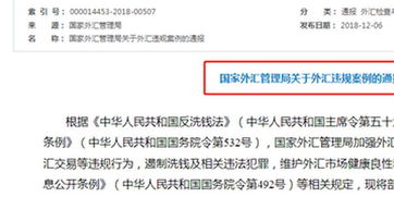 外管局例行通报外汇违规案例 违规信息将纳入征信