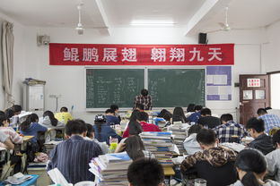 杭州新高考复读多少钱