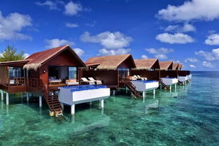 马尔代夫君乐岛如何实现海滩度假梦想（马尔代夫君乐酒店）