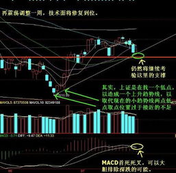 攀钢钒钛周一可不可以买入？