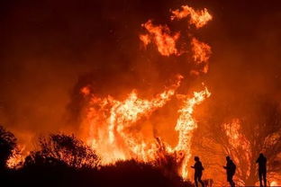 洛杉矶野火烧入豪宅区 公路旁成 火山炼狱 驾驶吓傻