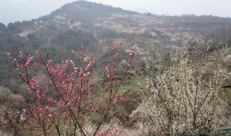 如何到达连云港大邑山风景区 旅游指南(连云港免费公共停车场电话)