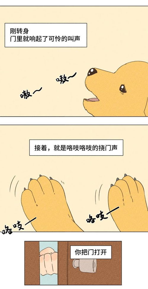 为什么很多人会把宠物当家人 这则漫画会告诉你