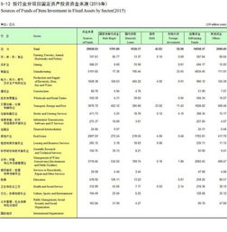 外汇资金来源情况说明 怎么写