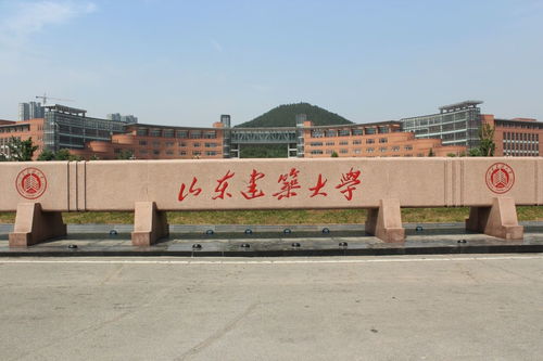 山东一共多少所公办大学