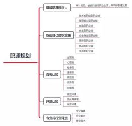 大学生职业生涯规划整体思路及标准范文