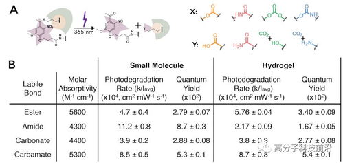 美国特拉华大学 JACS 光调控水凝胶降解 蛋白质释放方式和速率