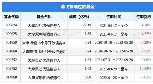 大摩资源优选混合