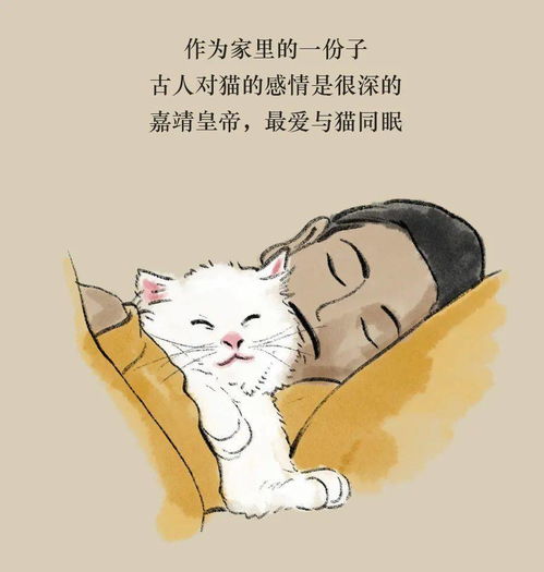 我打赌,你绝不知道古人这样养猫