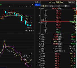 哪位知道国泰君安惠+软件上怎么看资金流向和主力资金流向吗谢谢！