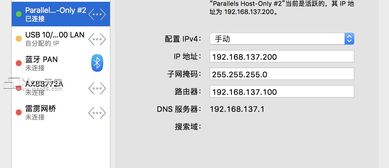 虚拟机win10如何连接主机网络连接