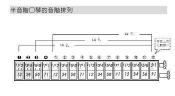 求各位大神教我口琴怎么吹,发什么音半音阶口琴看谱