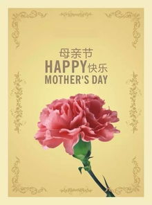 送什么花给妈妈,送给妈妈的最佳花朵：表达您无尽的敬爱和感激