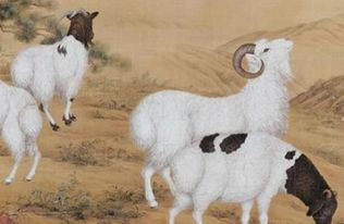 2015年属羊是什么命,15年出生五行属什么