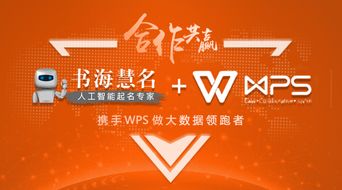 书海慧名与WPS深度合作,加速大数据时代发展 